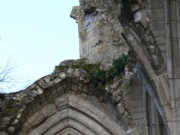 Jumièges (8) mars 2012